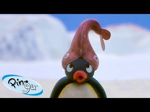 Pingu Plays Sports | Pingu – Official Channel | Cartoons For Kids - Kids (0-4), Kingdom Kids Zone - Pingu - Official Channel