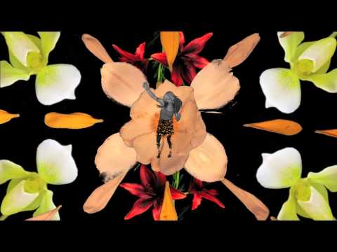 Japanther, "Stolen Flowers" (Official Music Video)