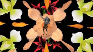 Japanther, "Stolen Flowers" (Official Music Video)