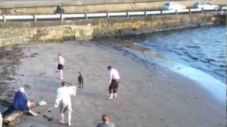 preview picture of video '2012 New Year Dip at Waterfoot Harbour by 'The Allen Clan''