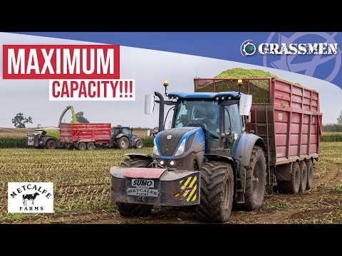 DAY AND NIGHT at the MAIZE with METCALFE FARMS!