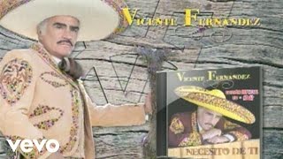 Vicente Fernández - Dueño Del Mundo (Audio)