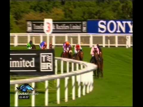 2010 Queen Elizabeth II Stakes G1 - Poet's Voice
