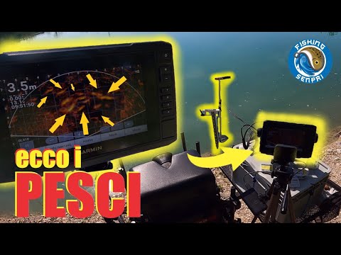 LIVESCOPE DA TERRA - ecco i pesci!!!