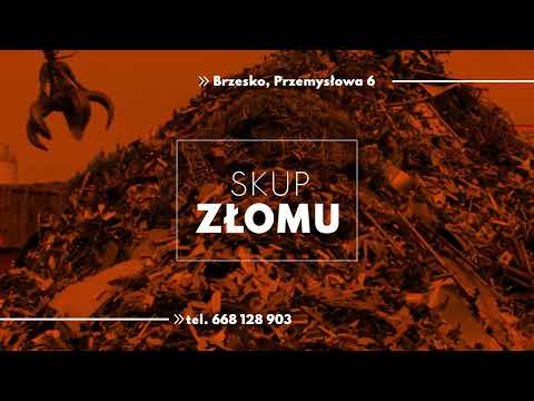 Zobacz filmy filmy