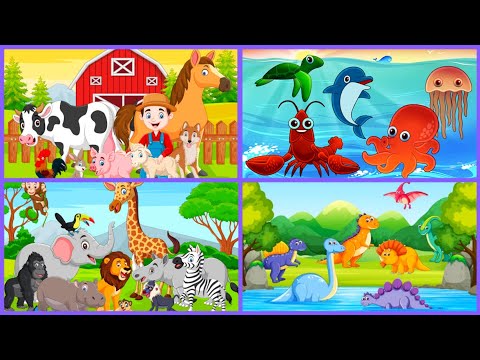Farm Animals🐕🐎🐓🦃🐑🐄🦙+ Sea Animals🐳🐋🐬🦈🐠🐙 + Jungle Animals🐅🦒🦓🦌🐒 + Dinosaurs🦕🦖 | Animals Compilation🐯🐶🐱🦁