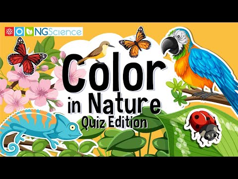 Color in Nature – Quiz Edition