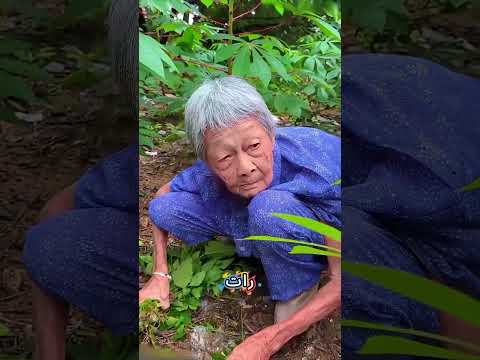 😂 حفيدة تكسر كل شيء… لكن جدتها كانت تعرف الحقيقة!#trending #shorts #viralvideo #viralshorts