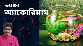 Download lagu ভয়ঙ্কর অ্যাকোরিয়াম | অভিজিৎ মহারাজ (লাহা) mp3