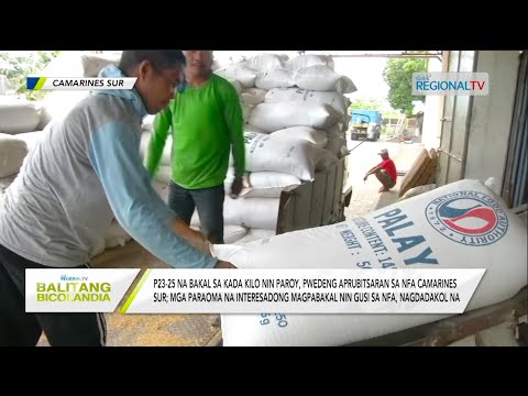 Balitang Bicolandia: P23-25/kilo nin paroy, pwedeng aprubitsaran sa NFA Camarines Sur