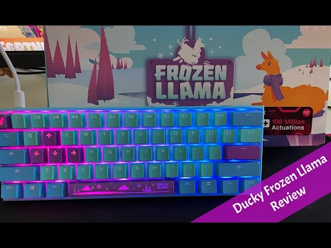 DUCKY FROZEN LLAMA Round 2 Review