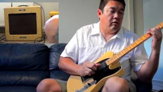 Video thumbnail for Peavey Delta Blues Amplifier by intheblues
