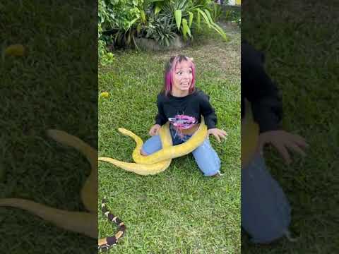 KAMYLINHA SE ASSUTA COM A BOCA DA COBRA GELADA ???????? @oieuro