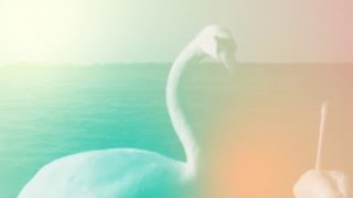 Friedrich Sunlight -  Spuren