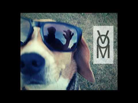 Play Video Youtube Video