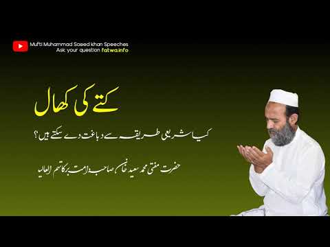 What is the ruling of dog's skin? If someone slaughters a dog as per Shariah to preserve its skin?