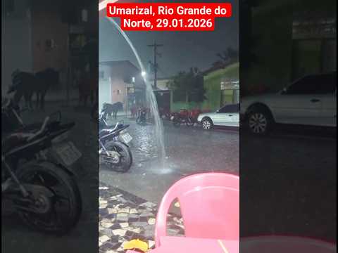 🇧🇷 UMARIZAL, RIO GRANDE DO NORTE 29/01/2026 #chuvas #nordeste #praiasdonordeste #alerta #noticias