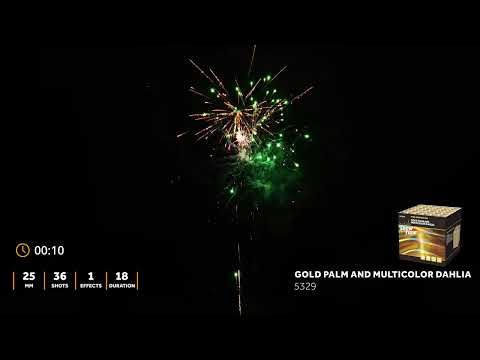 5329 - Gold palm and multicolor dahlia