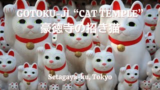 Welcome to "Cat Temple": Gōtoku-ji, Tokyo ・大谿山 豪徳寺・招き猫発祥の地" #manekineko