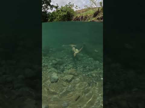 Poço da Prainha em Lavrinhas, São Paulo - Brasil 🇧🇷