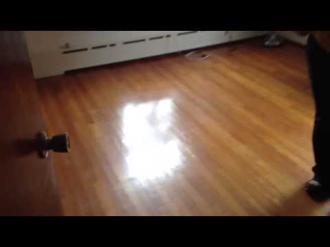 Neda Rizvi's Apartment in Harvard 09/13