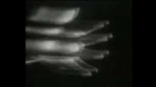 Ortrotasce - Fading Figures