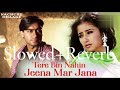 Tere Bin Nahin Jeena Mar Jana Dholna (Slowed+Reverb) Old Song // Sukhwinder Singh //