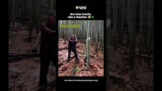 Download lagu Bro Uses Gravity Like A Machine?! 🤯🌳 #shorts mp3