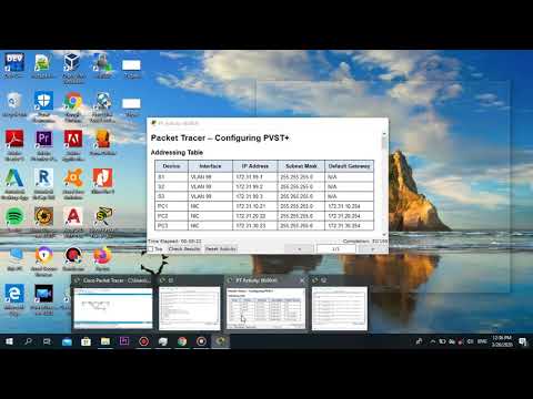 Cisco packet tracer 3.3.1.5