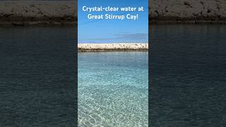 Crystal-Clear Water at Great Stirrup Cay 🌊 | Norwegian Cruise Line Private Island
