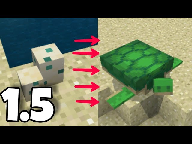 Морская черепаха в майнкрафте. Яйцо черепахи в майнкрафте. Яйцо призыва черепахи в майнкрафте. Черепашье яйцо майнкрафт. Статуя черепахи в майнкрафт.