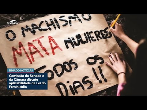 Aplicabilidade da Lei do Feminicídio foi discutida em comissão mista