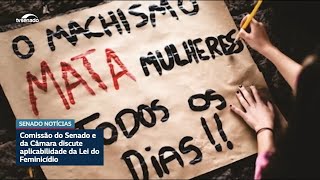 Aplicabilidade da Lei do Feminicídio foi discutida em comissão mista