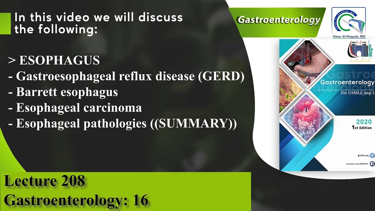 Gastroesophageal reflux disease (GERD) | Barrett esophagus | Esophageal carcinoma | Esophagitis