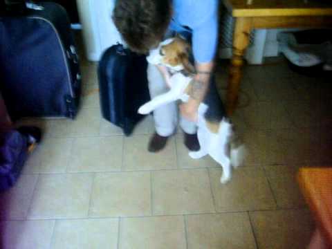 Spain/España 2011 (6/6): Arriving Home