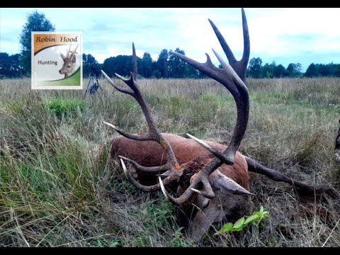 Red stag hunting in Poland with Robin Hood Hunting Agency 2021 - medal red stag down!