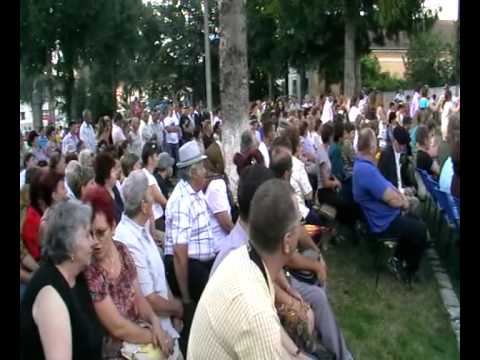 Adrian Stanca la Nedeia Tarii Halmagiului 2010_3.avi