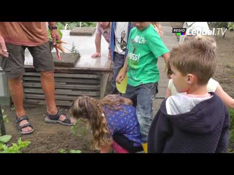 de kinderen van basisschool de Leerlingst in Haelen gaan de natuur in!