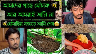 নিজেদের গাছের মৌচাক🐝থেকে খাঁটি মধু সংগ্রহ || খামারের গাছে মৌচাক || Bird's Agro