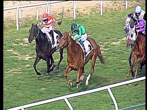 Galoppo 05/03/2019 - 1ª corsa