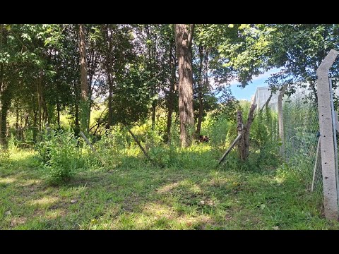 Villa Ciudad de América - A 300 metros de la Rotonda