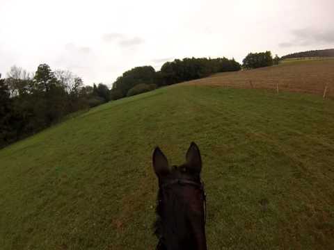 KPB1 Trüllikon mit Ladino de Crepi