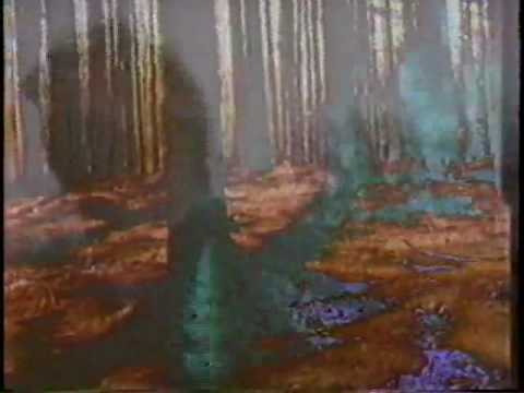 Rapture Of The Deep --  "Madame Nothing"