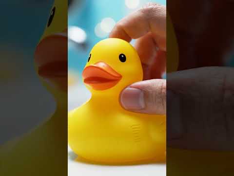 Rubber Duck Squeak Sound Effect