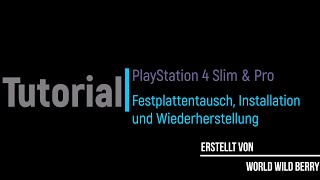 Tutorial: Playstation 4 (Slim & Pro) HDD gegen eine SSD und Systemsoftware Neuinstallation