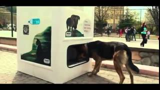 This Genius Machine Feeds Stray Dogs In Exchange For Recycled Bottles