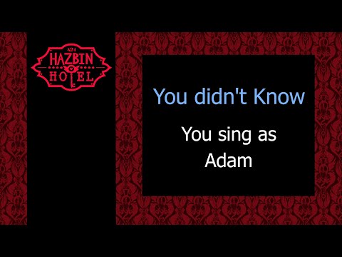 You didn't know - Karaoke - You sing Adam