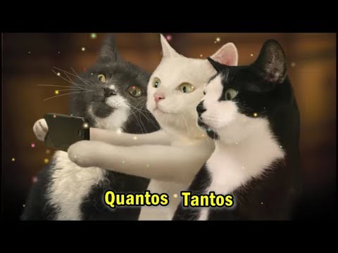 Quantos Tantos - Jay Vaquer
