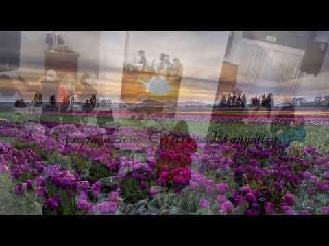 2022-02-20 - Culto Domenica - Fr. Pispicia - Fr. De Bartolo - Salmo  Cap 34  ver 5