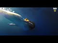 Mana Anjan Hai Tu Mere Vaste WhatsApp Status Mermaid Love Story Viral Song Taal Se Taal Mila